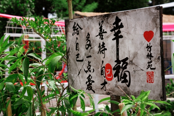 gallery/dsc00028